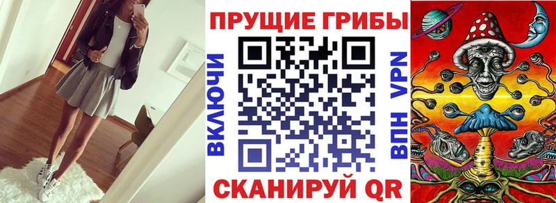 Псилоцибиновые грибы Cubensis  купить наркоту  Кунгур 