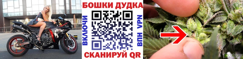 Бошки Шишки конопля  Кунгур 